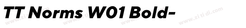 TT Norms W01 Bold字体转换 TT Norms W01 Bold字体转换